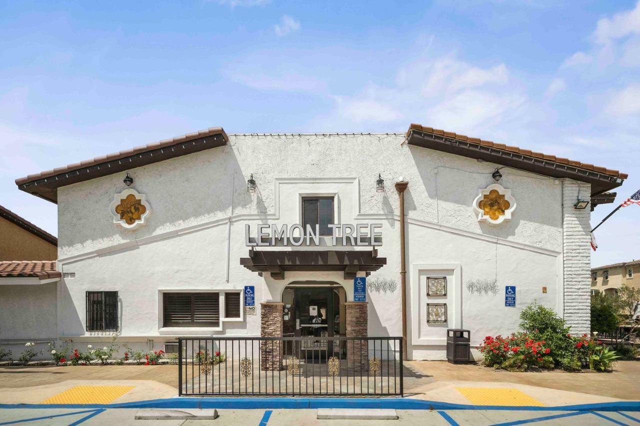 The Lemon Tree Hotel Anaheim Exteriér fotografie